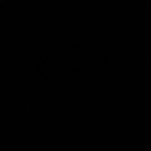 Meet your Posher, Annabelle